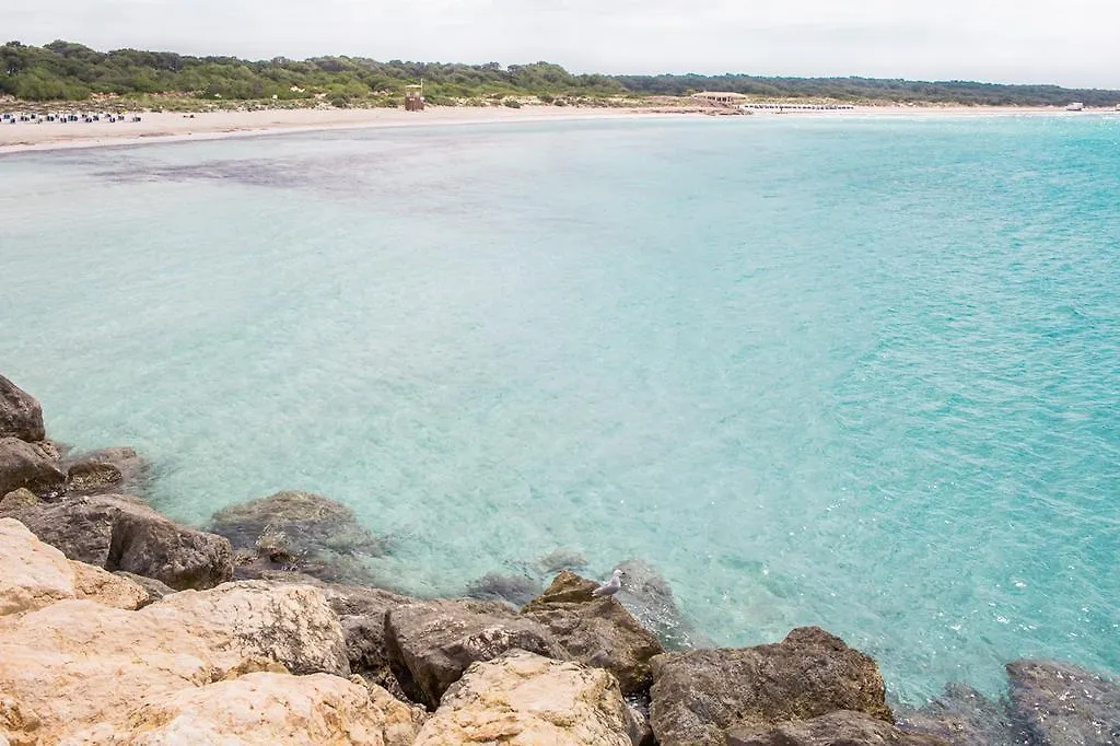 קמפוס Can Roques Blanques 0*,